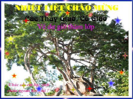 Bài giảng Sinh học Lớp 6 - Bài 26: Sinh sản sinh dưỡng tự nhiên