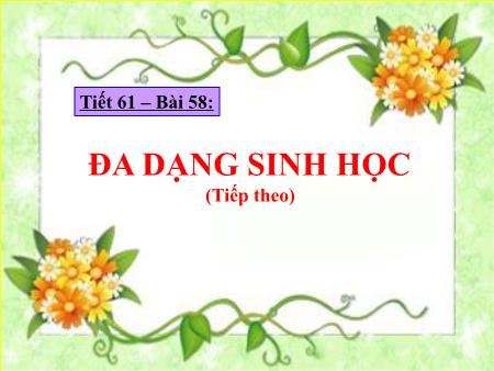 Bài giảng Sinh học Lớp 7 - Tiết 61 - Bài 58: Đa dạng sinh học (Tiếp theo)