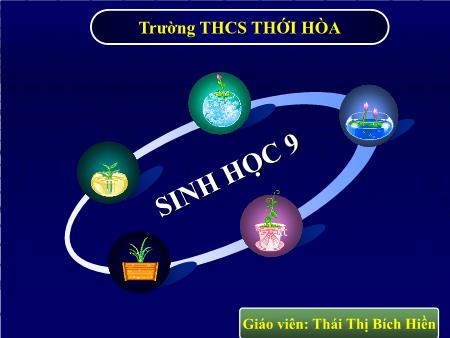Bài giảng Sinh học Lớp 9 - Bài 10: Giảm phân - Thái Thị Bích Hiền