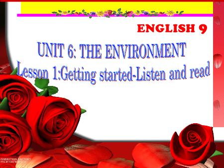 Bài giảng Tiếng anh Lớp 9 - Unit 6: The Enviroment. Lesson 1:Getting started-Listen and read