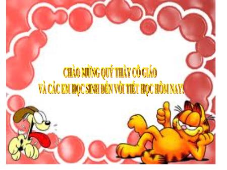 Bài giảng Tin học Lớp 7 - Tiết 13 - Bài 4: Sử dụng các hàm để tính toán