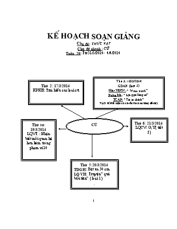 Giáo án mầm non Lớp chồi - Tuần 29 - Chủ để: Thực vật - Đề tài: Củ - Trần Thị Phương Thảo