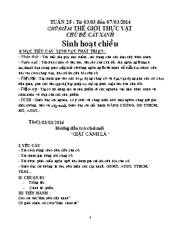 Giáo án mầm non Lớp Lá - Tuần 25 - Chủ điểm: Thế giới thực vật - Chủ đề: Cây xanh
